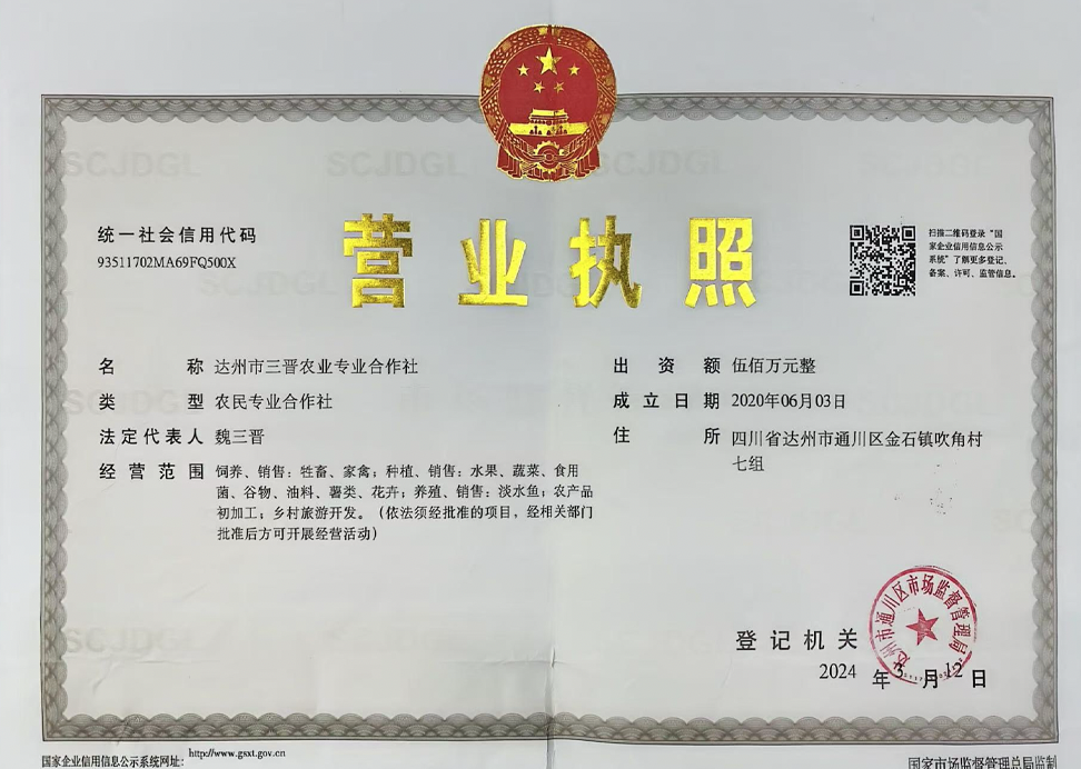 资质证书